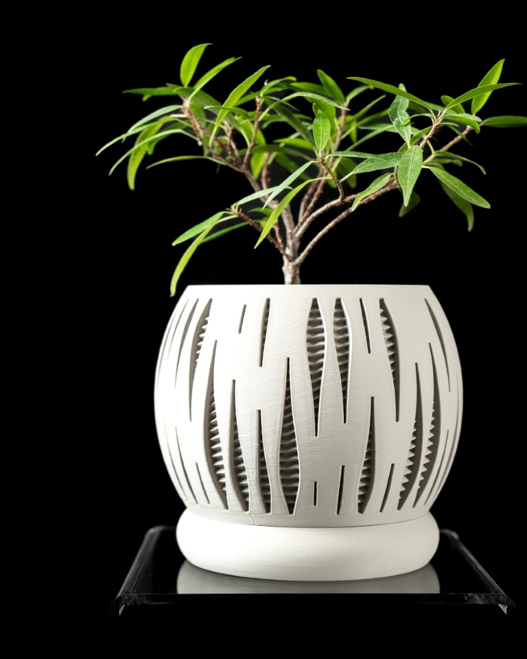 Chậu cây Chia Cắt