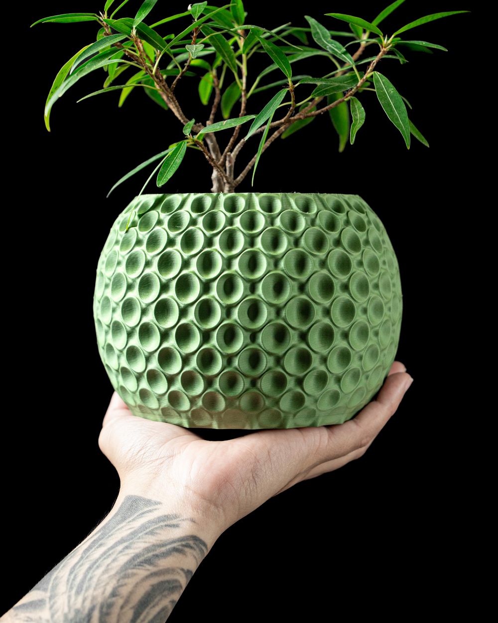 Chậu cây Bong Bóng