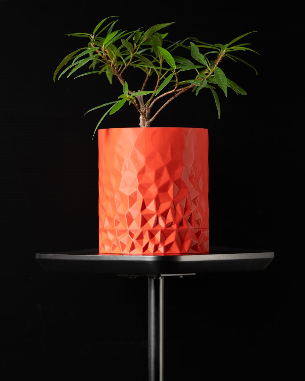 Chậu cây Voronoi